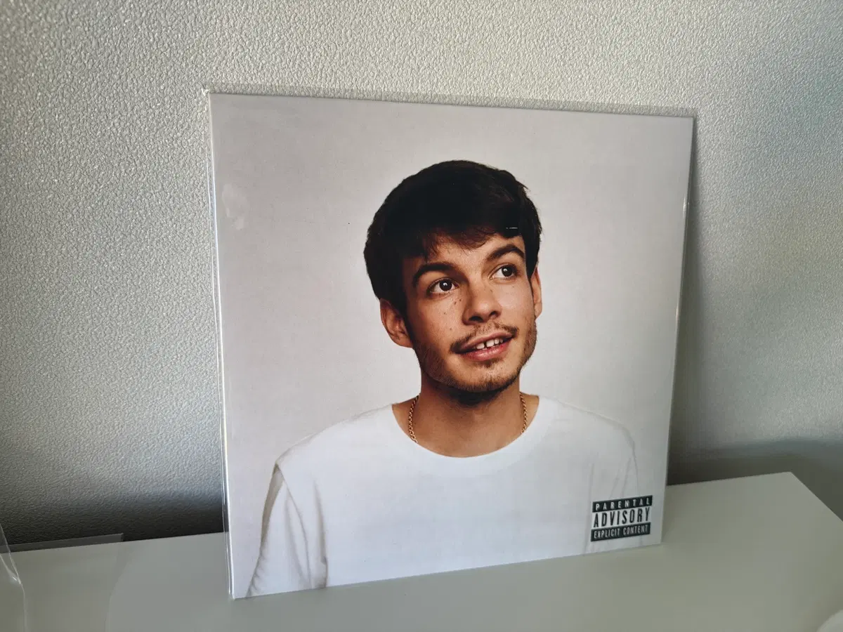 Rex Orange County - Pony LP