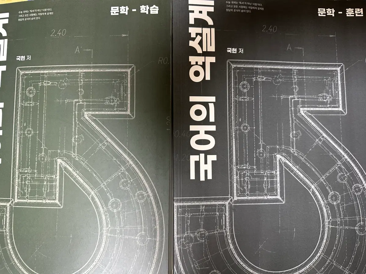 국어의 역설계 국현 저 문학 학습/훈련