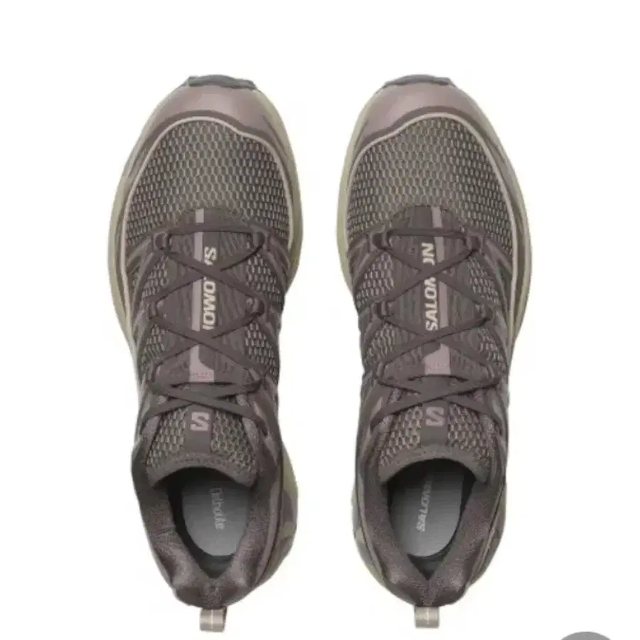 살로몬 xt-6 익스펜스 시즈널 플럼 키튼/시멘트 245 salomon