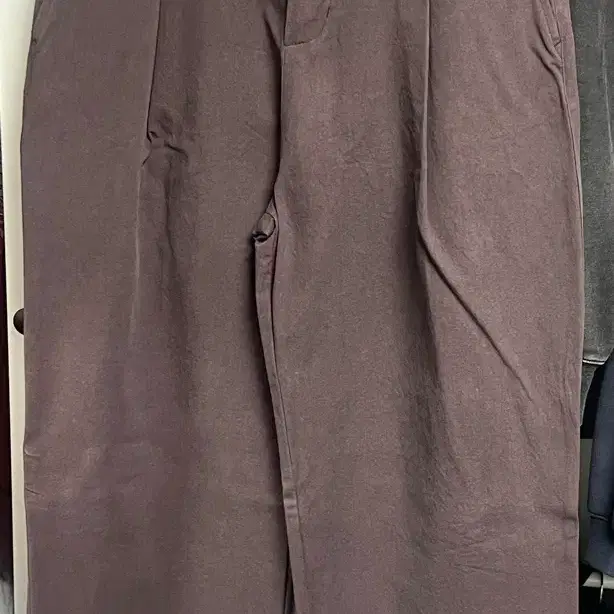 다이브인 치노팬츠 퍼플