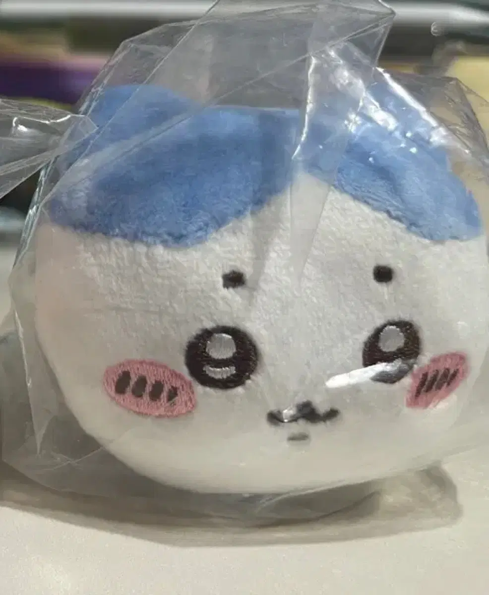 치이카와 네소베리(하치와레)