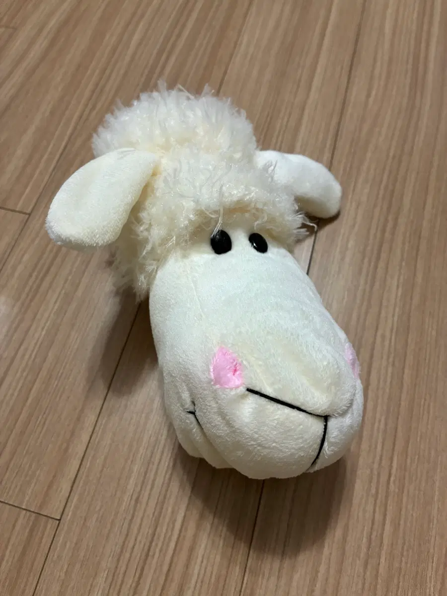 고전양필통