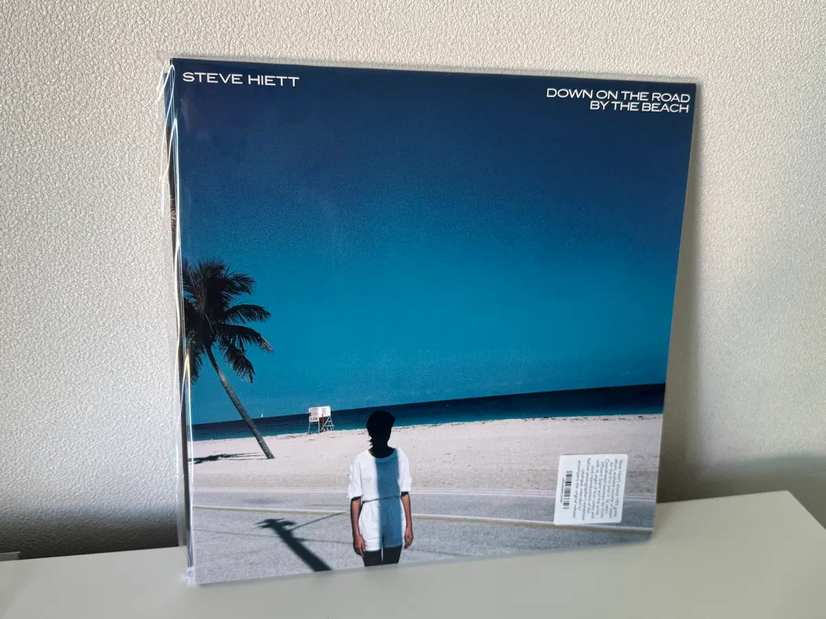 Steve Hiett - Down on the Road by the Beach LP