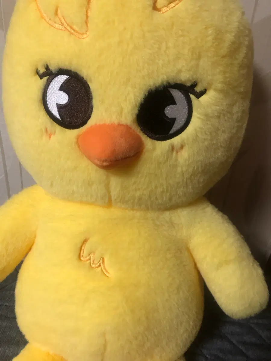 테디베어 뽁아리 인형 필릭스 굿즈