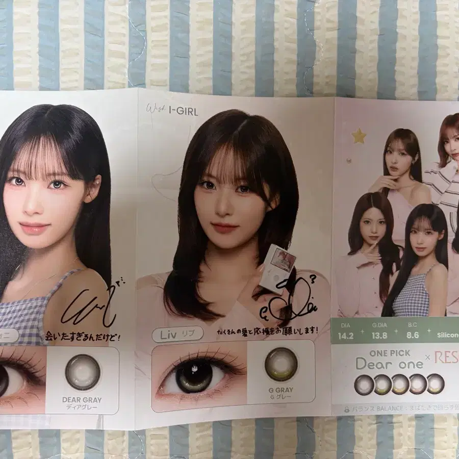 리센느 아이샤렌즈 책자