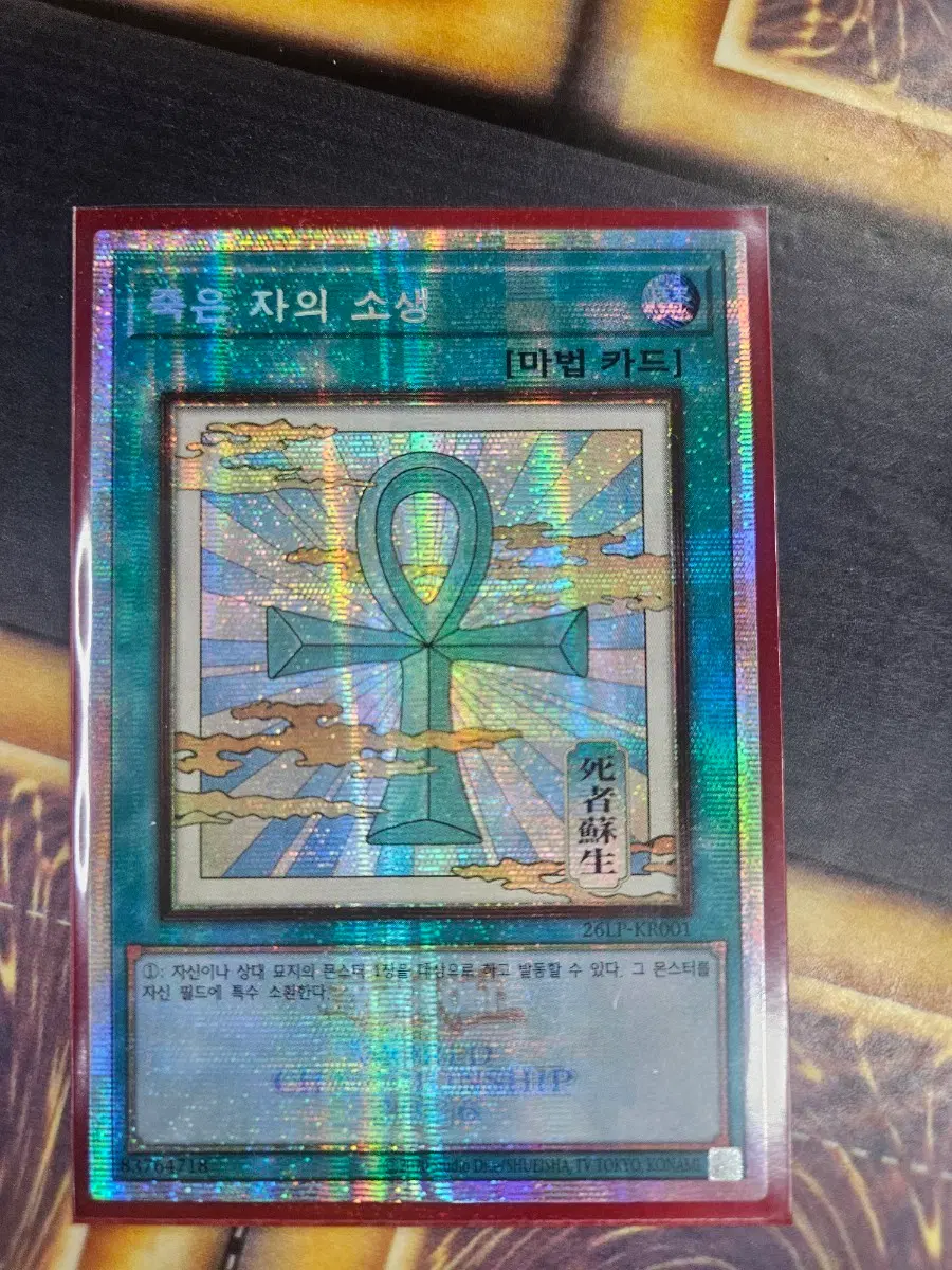 죽은 자의 소생 월챔 쿼싴