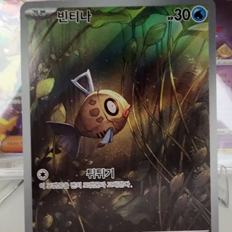 (싱글한판) 빈티나 AR 한글판 (sv8 110/106)