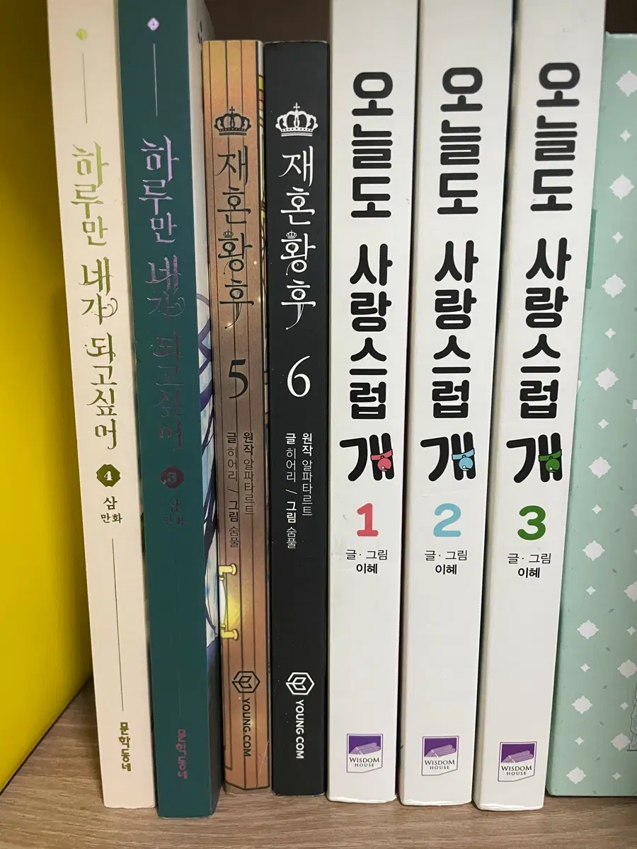하루만 네가 되고싶어, 재혼황후, 오늘도 사랑스럽개 판매