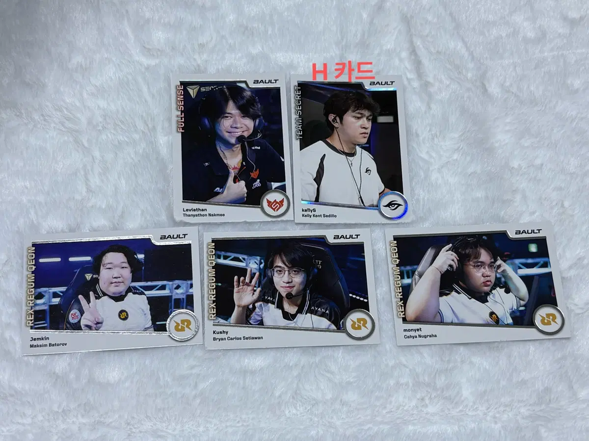 RRQ TS FS VCT bault card 포토 카드