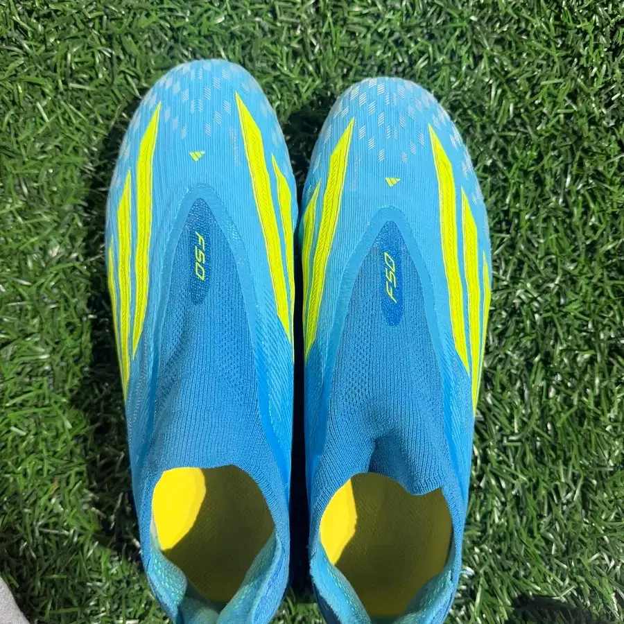 F50엘리트ll