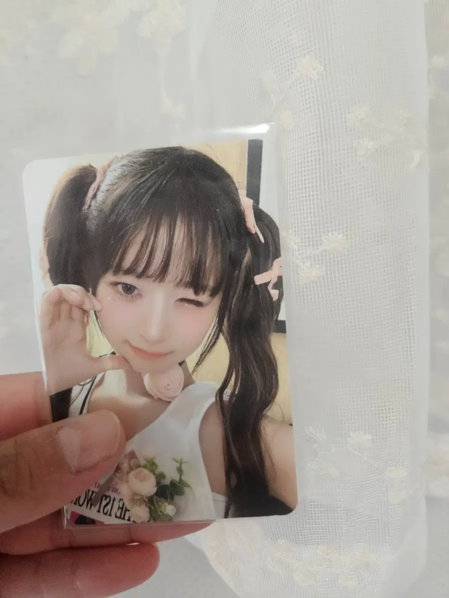 레이 포카
