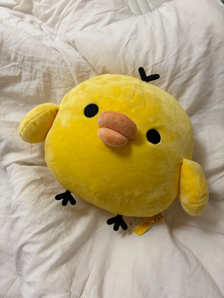 키이로이토리 M 인형