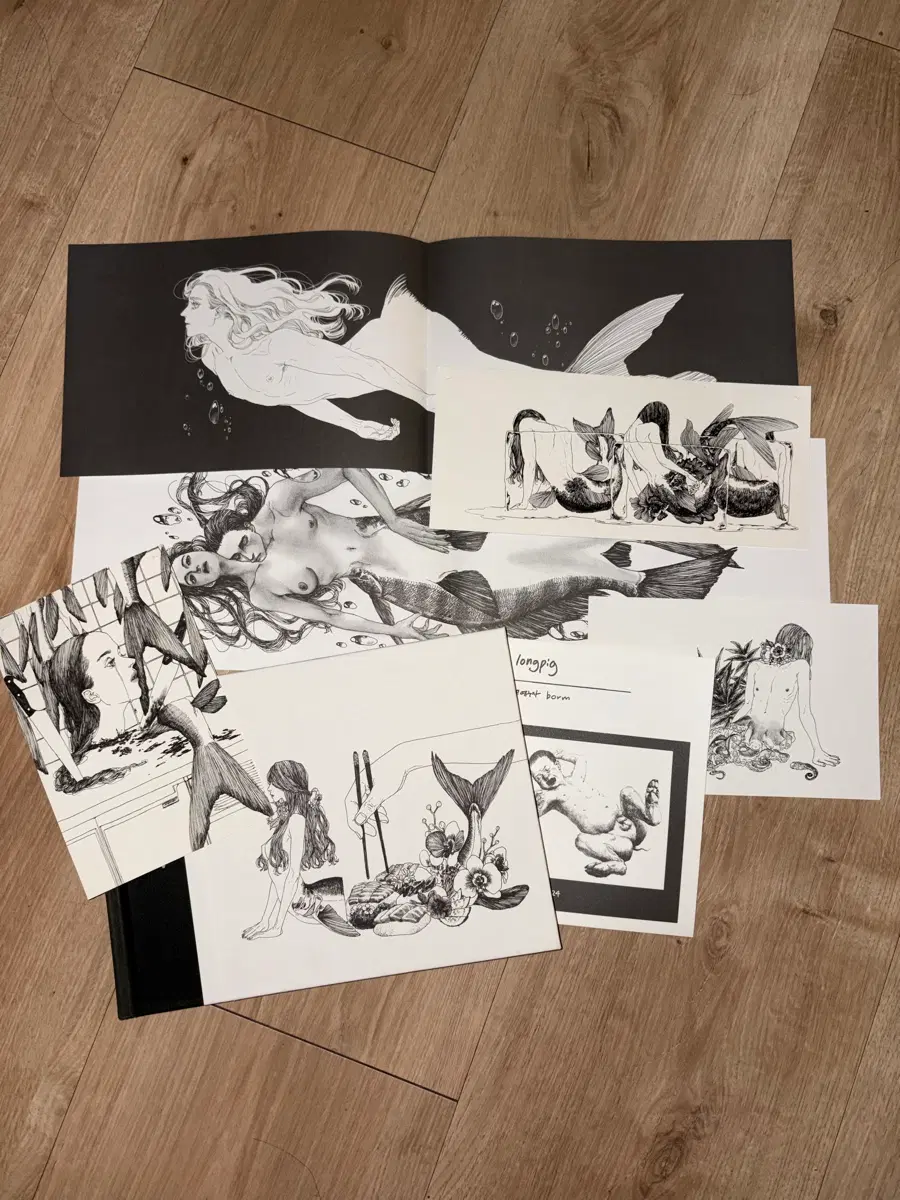인어가 사는 세계 이보름 작가