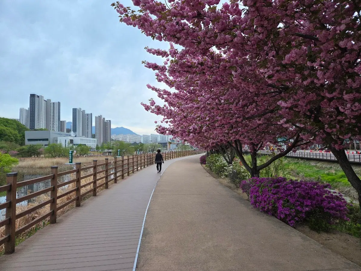 가면라이더 젯츠 dx 사운드 라이더 캡셈 삽니다
