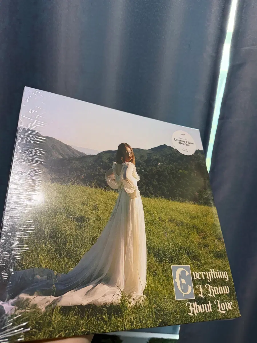 Laufey 1집 데뷔 lp 미개봉 (하자)