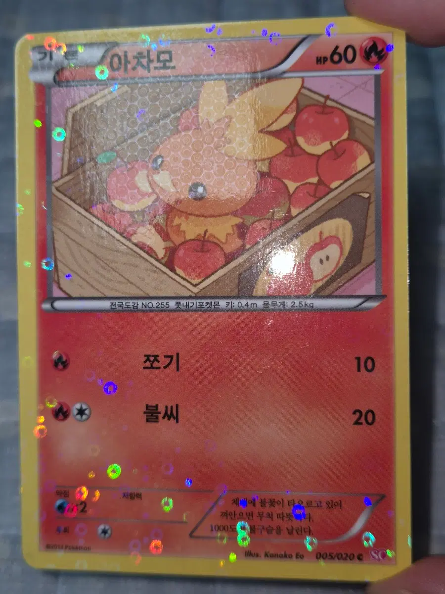 포켓몬 카드 아차모 005/020 C 샤이니컬렉션/샤컬 엘범용 3