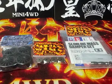초이데텐 초초초천하무쌍 로프릭션 타이어 23mm 도금 매스 댐퍼
