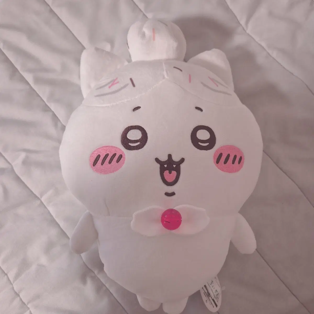 하치와레 생일 케이크 빅누이
