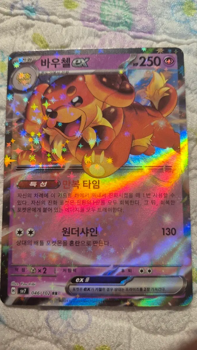 바우첼ex rr
