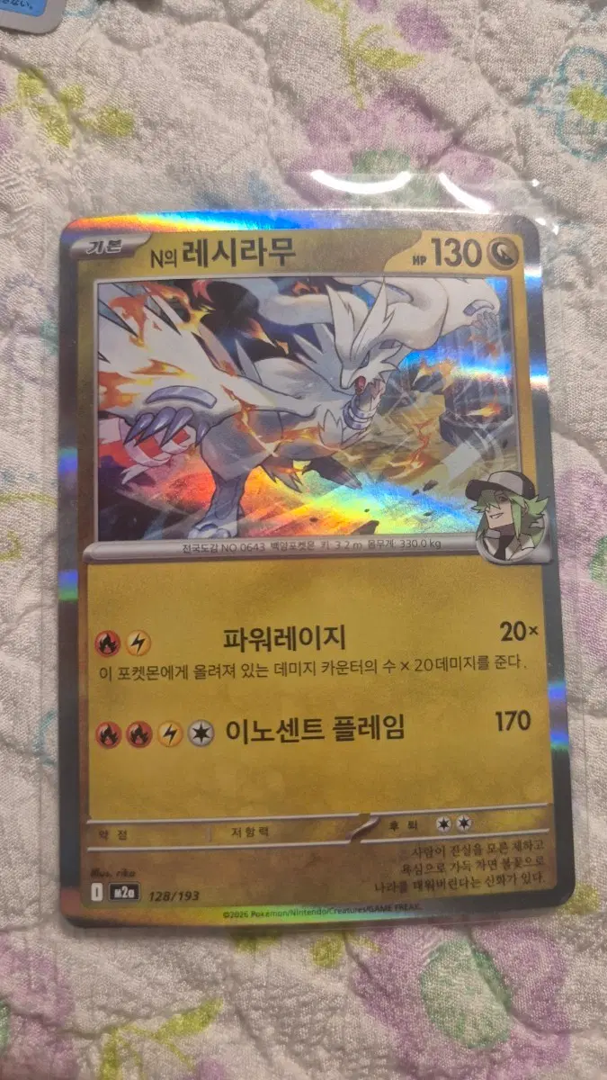 n의 레시라무 홀로