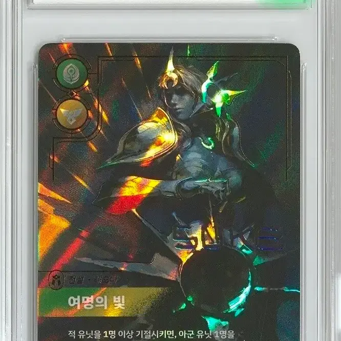 리프트바운드 레오나 시그니처 BRG10