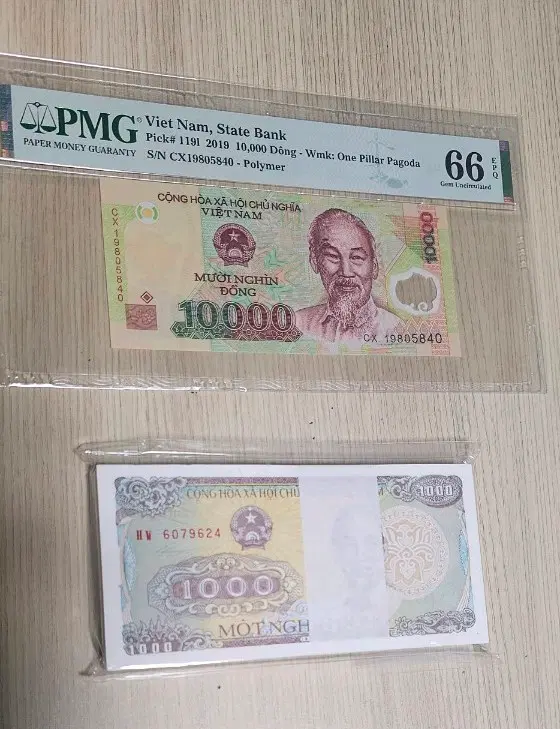 베트남 구권 10000동 PMG 66등급 , 구권 1000동 100장 다발 2종 일괄