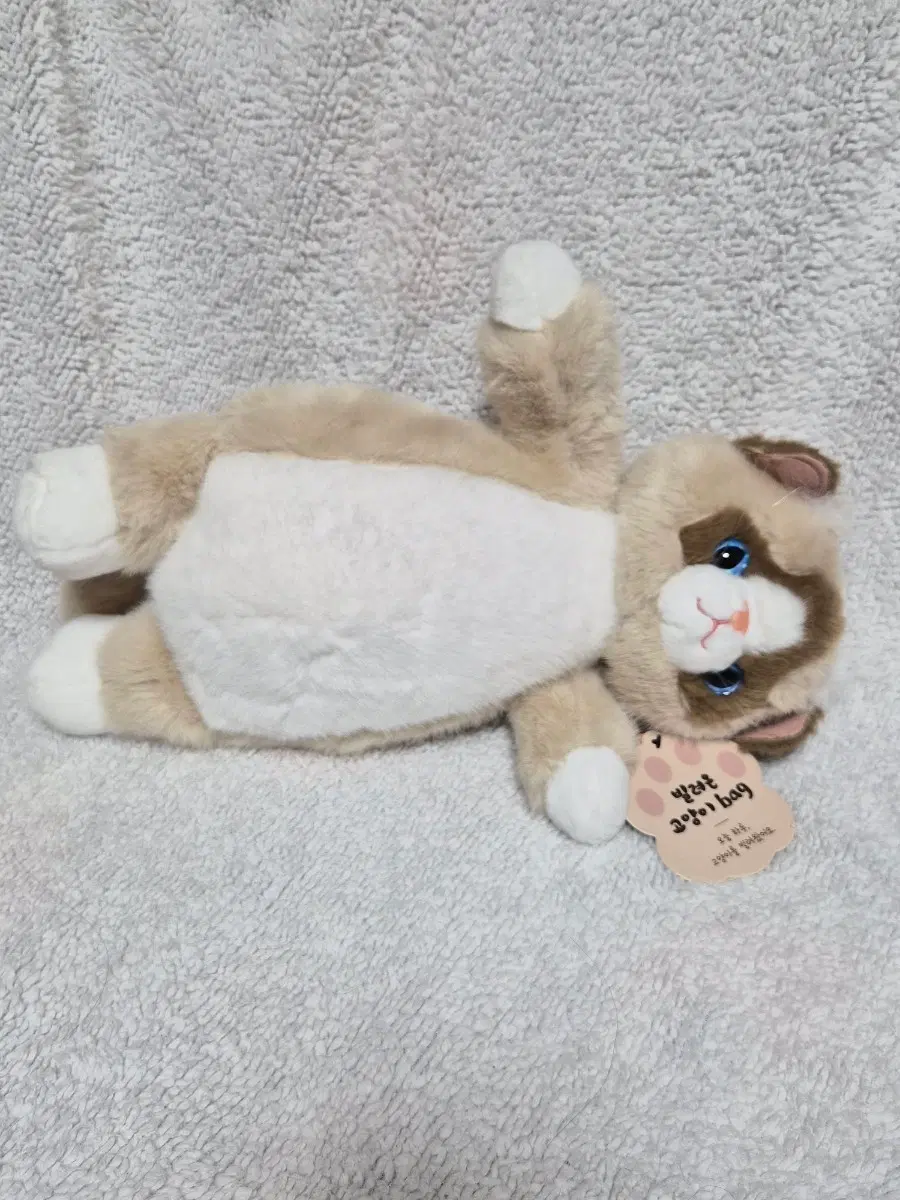 빌려온 고양이 인형 백 가방 캣