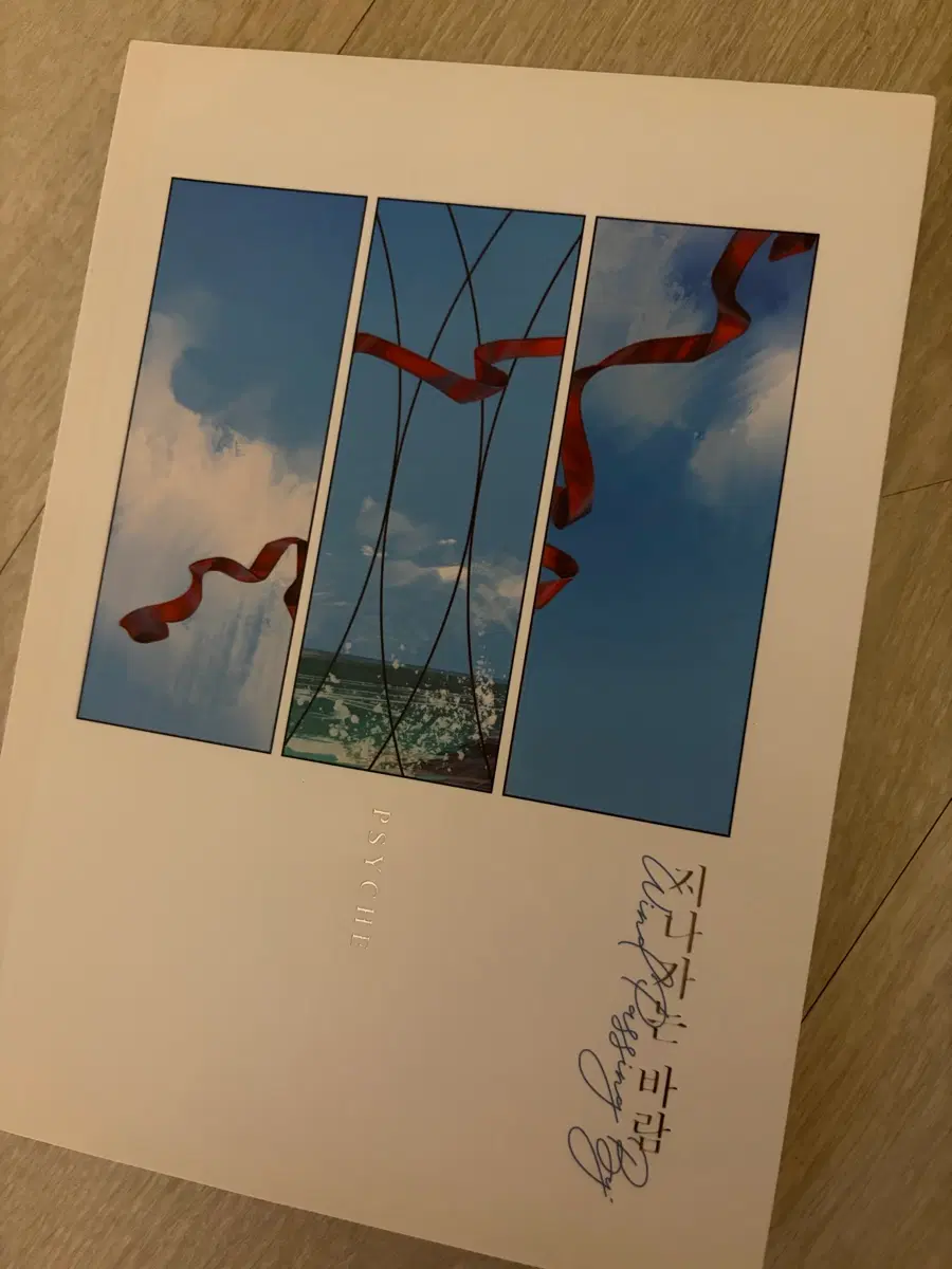 사이키님 <지나가는바람> 소장본