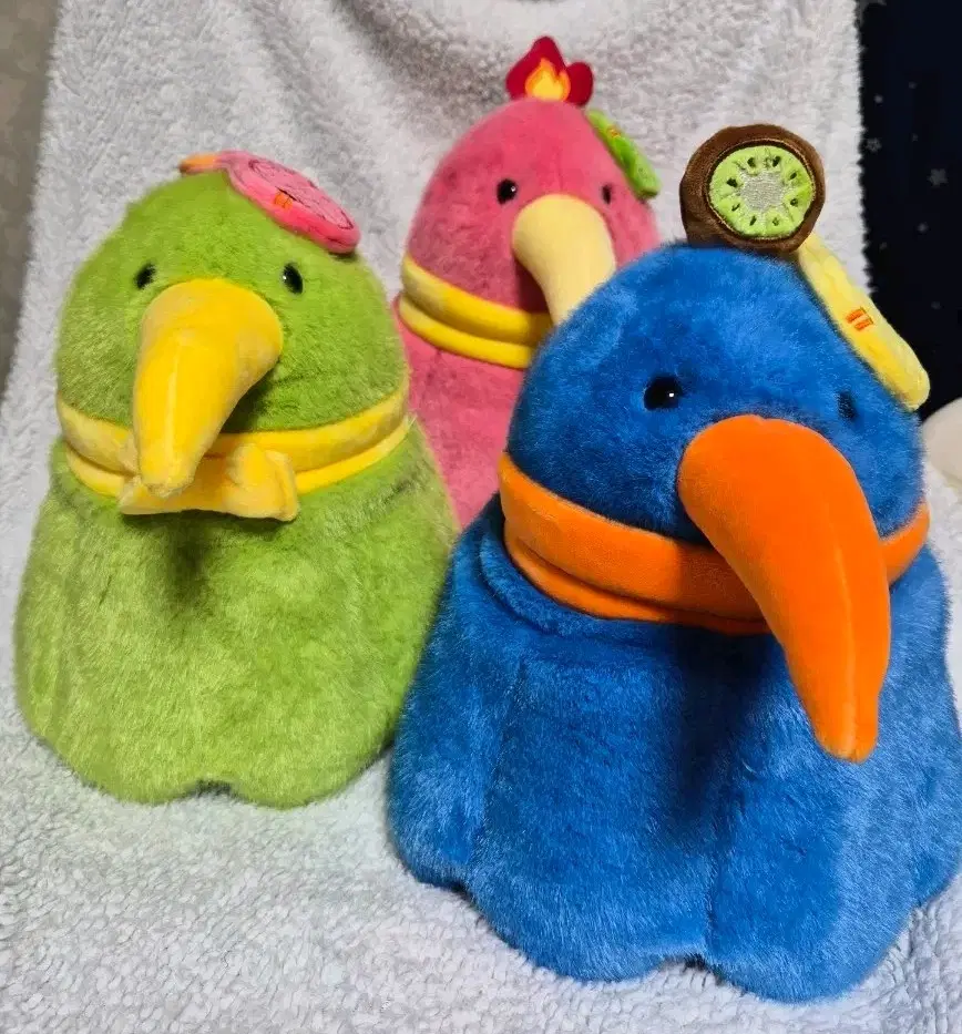 키위새 인형 3종 세트