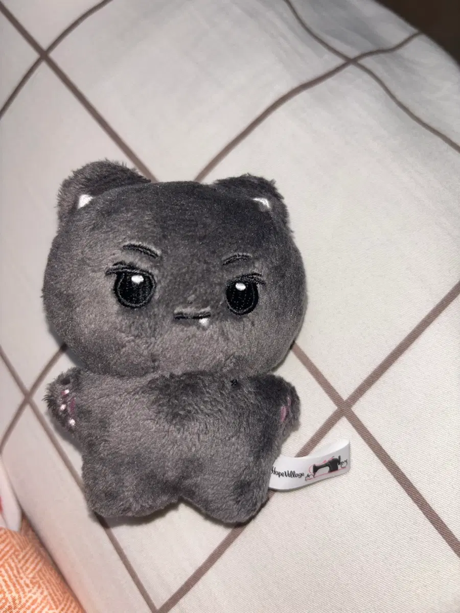 엔하이픈 제이 인형 쫑큘라