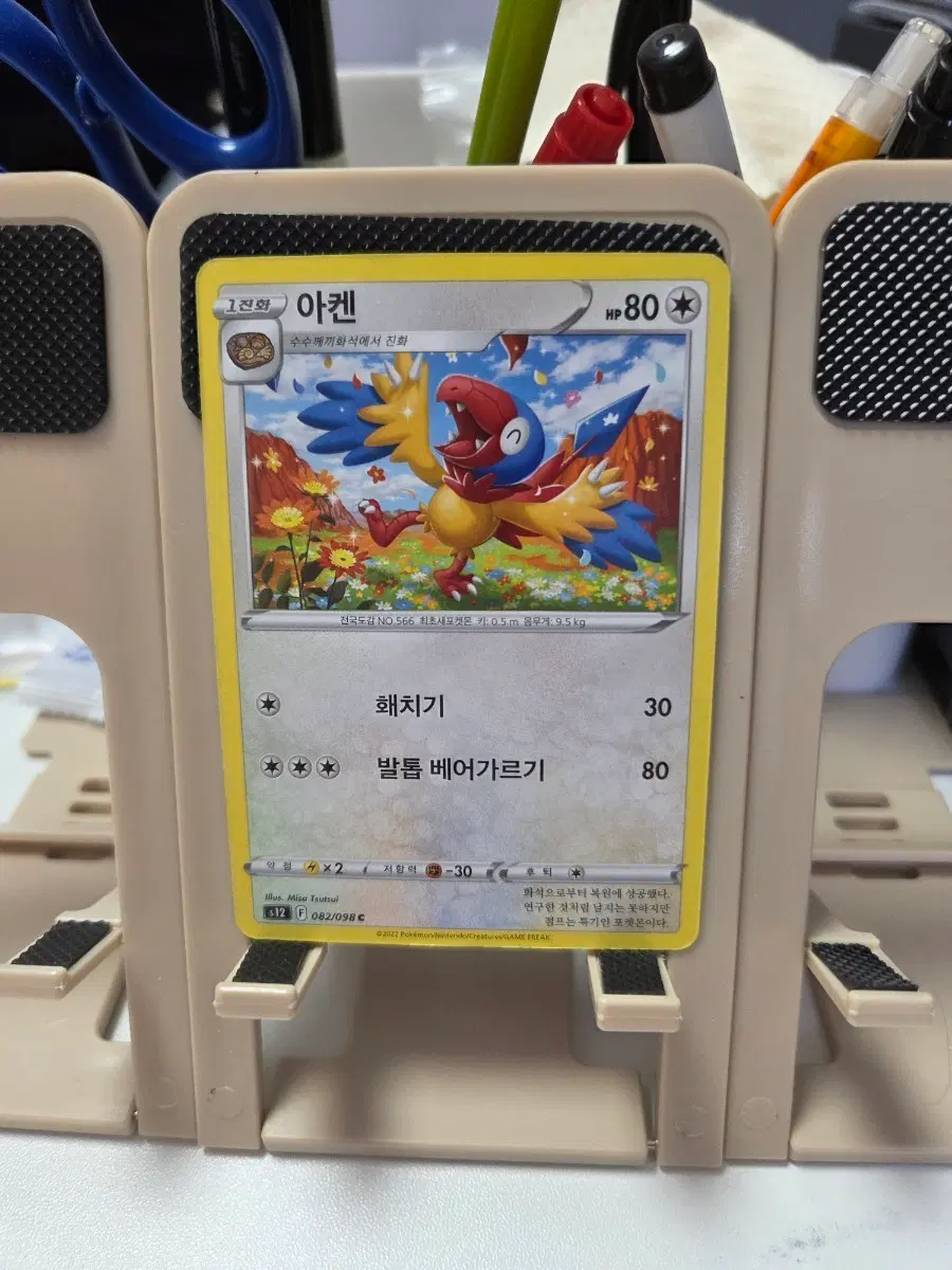 포켓몬카드 아켄 80HP