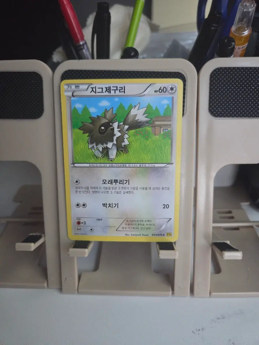 포켓몬 카드 지그제구리