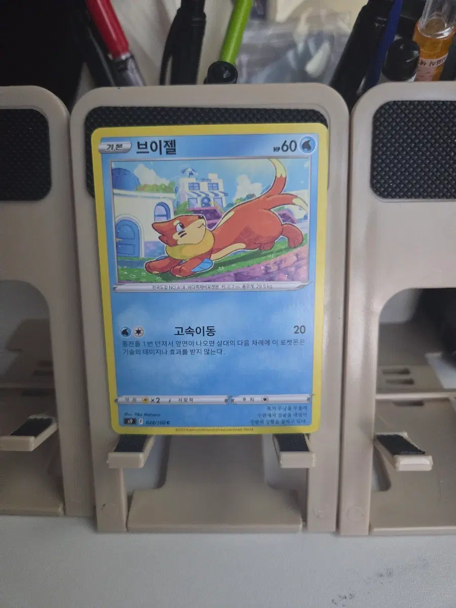 브이젤 포켓몬 카드