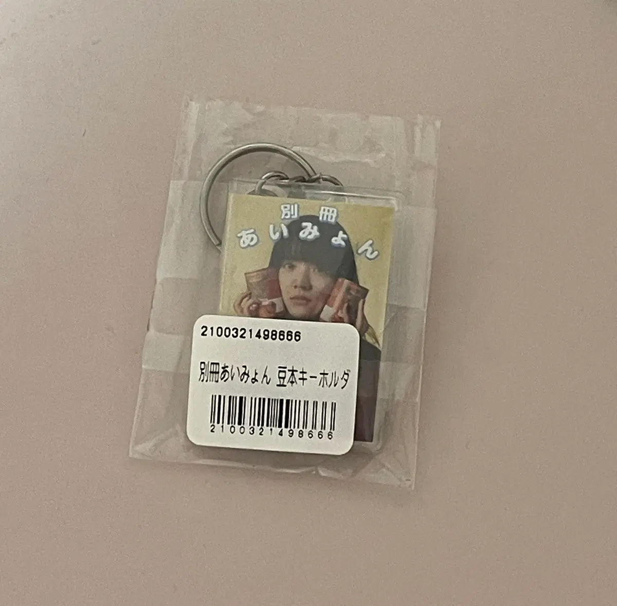 아이묭 키링