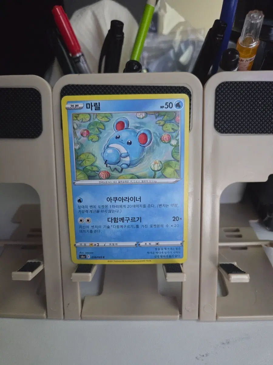 포켓몬 카드 마릴