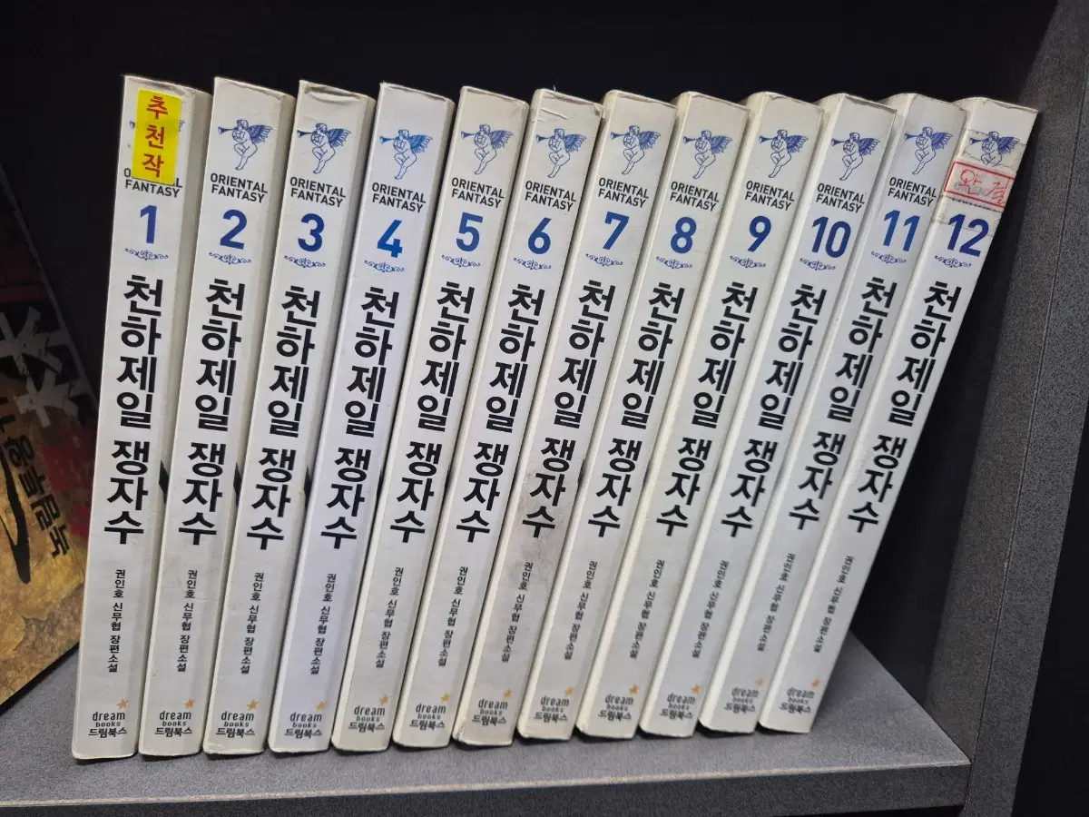천하제일쟁자수(권인호신무협소설)1~12완 추천작