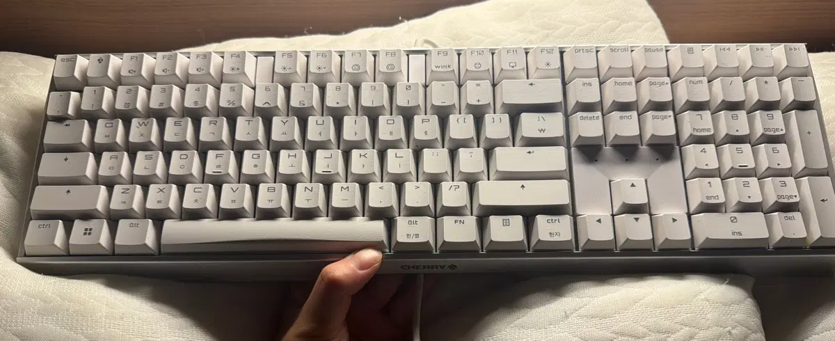 체리 cherry mx board 3.0s 청축 키보드