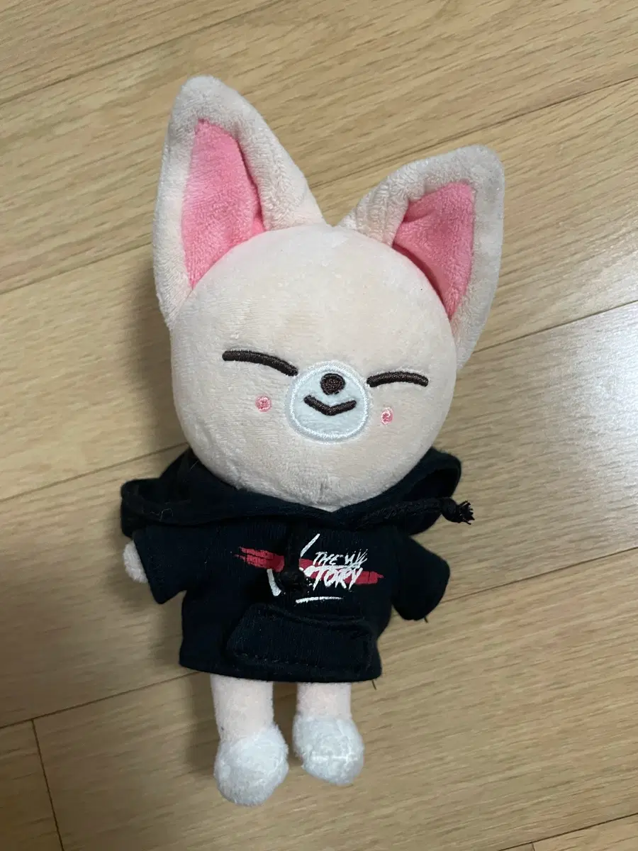 스키주 폭시니 스키즈 아이엔 양정인 인형