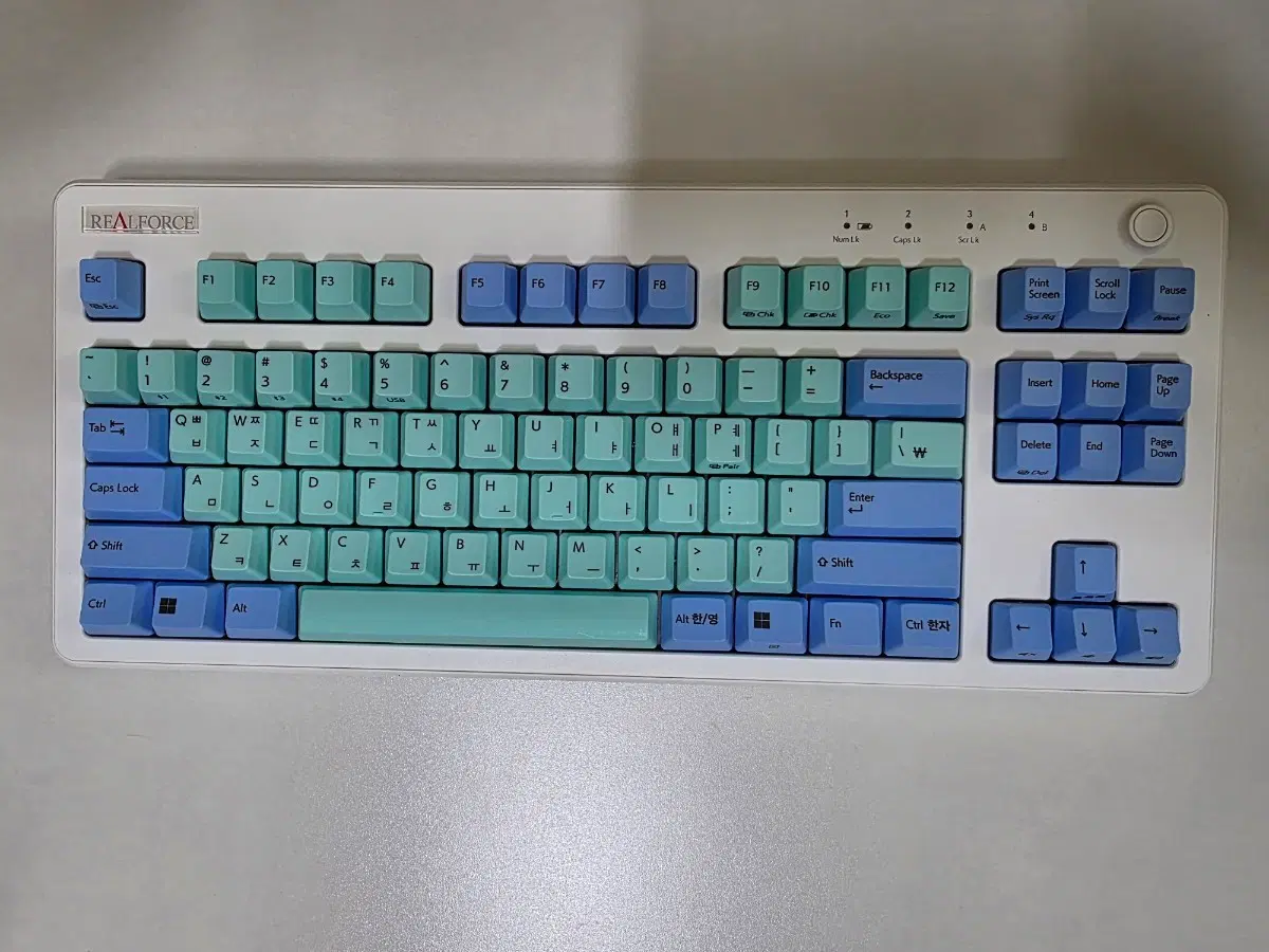 리얼포스 R3 균등 30g 민트블루