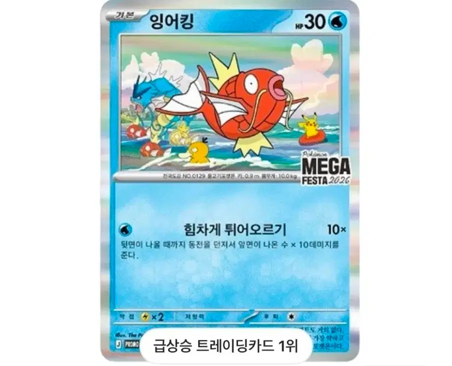 포켓몬 카드 잉어킹 프로모