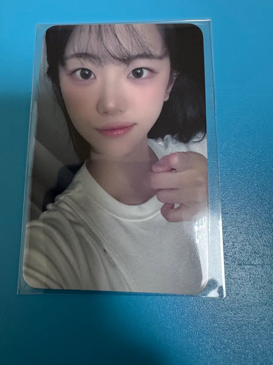 QWER 쵸단 디어마이뮤즈 디마뮤 팬싸인회 특전 포카 미공포
