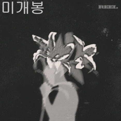 피어 (FIRR) - REEL (미개봉, CD)