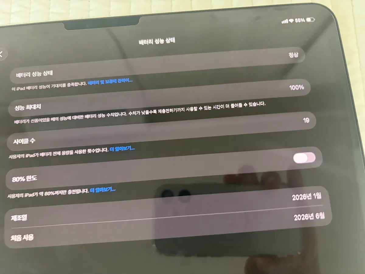 아이패드 프로 13인치 M4 2TB 셀룰러 나노X