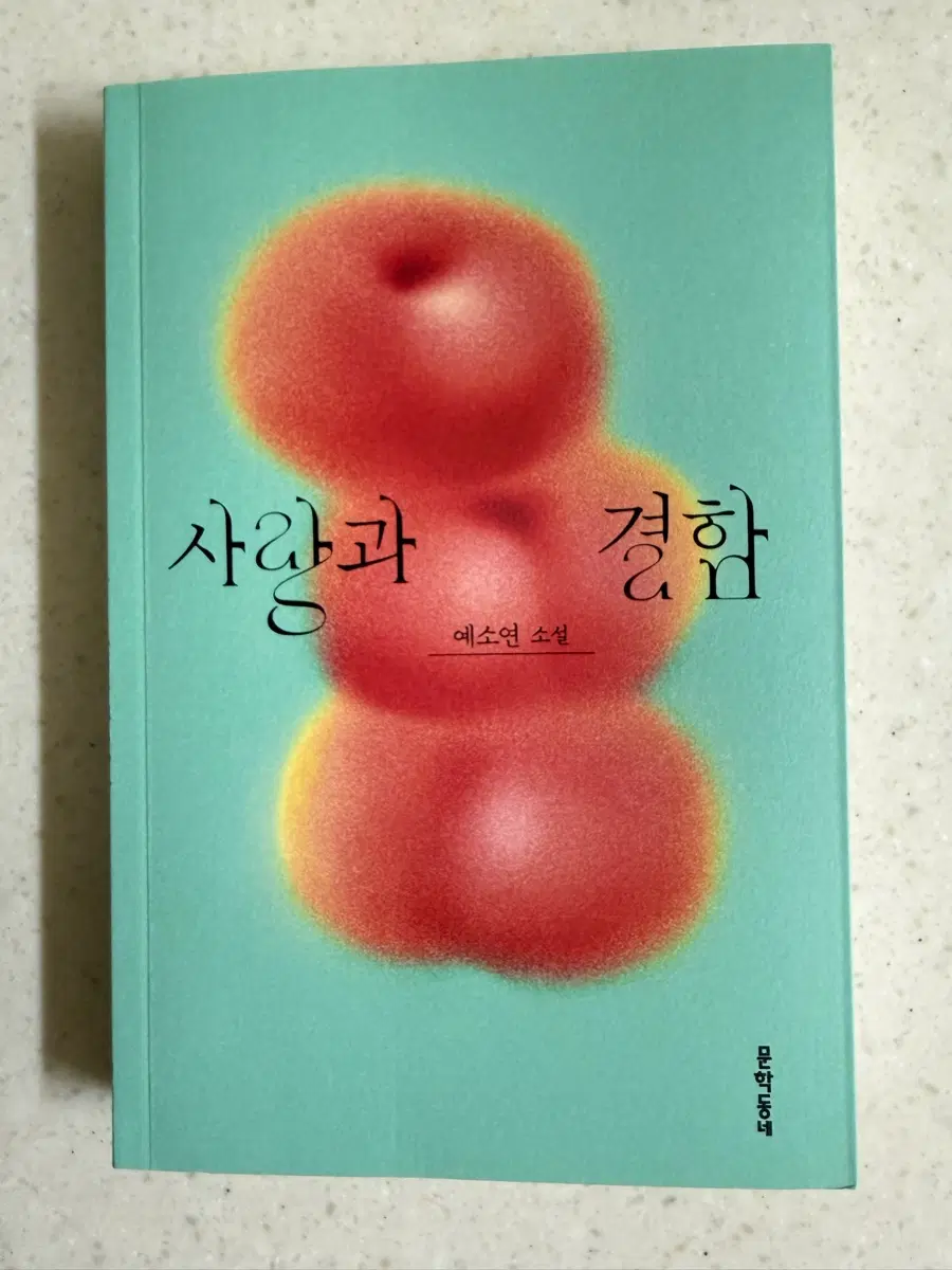 사랑과 결함 (예소연 소설)