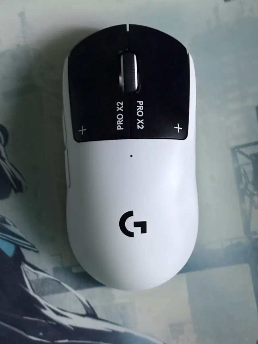 지슈스