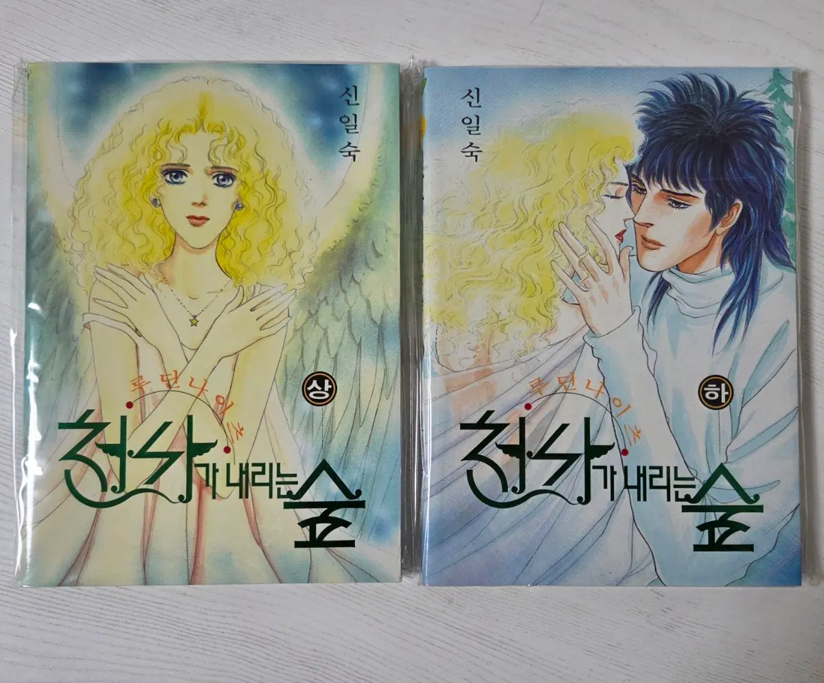 천사가 내리는 숲 1-2 (완결) 신일숙