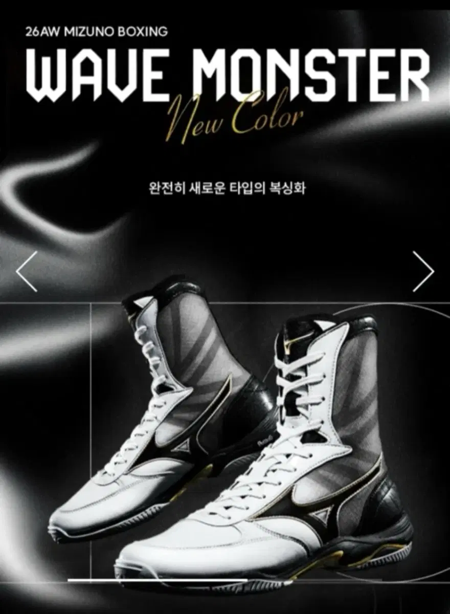 미즈노 복싱화 웨이브 몬스터
