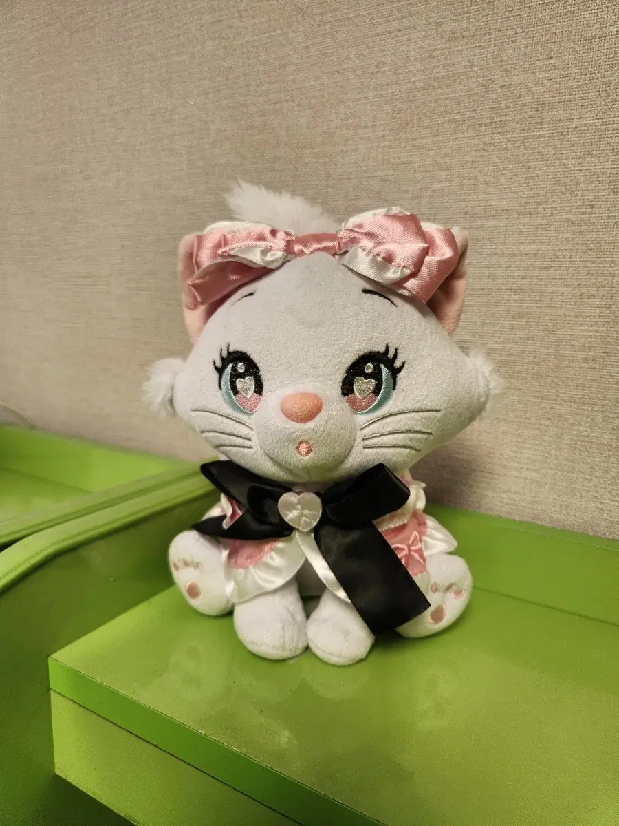 고양이 인형