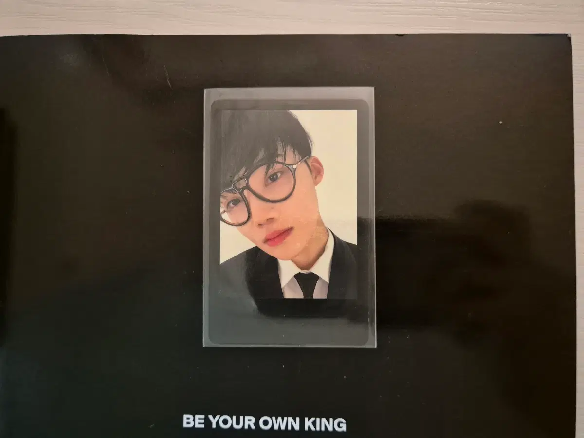 비온킹 뉴 세트