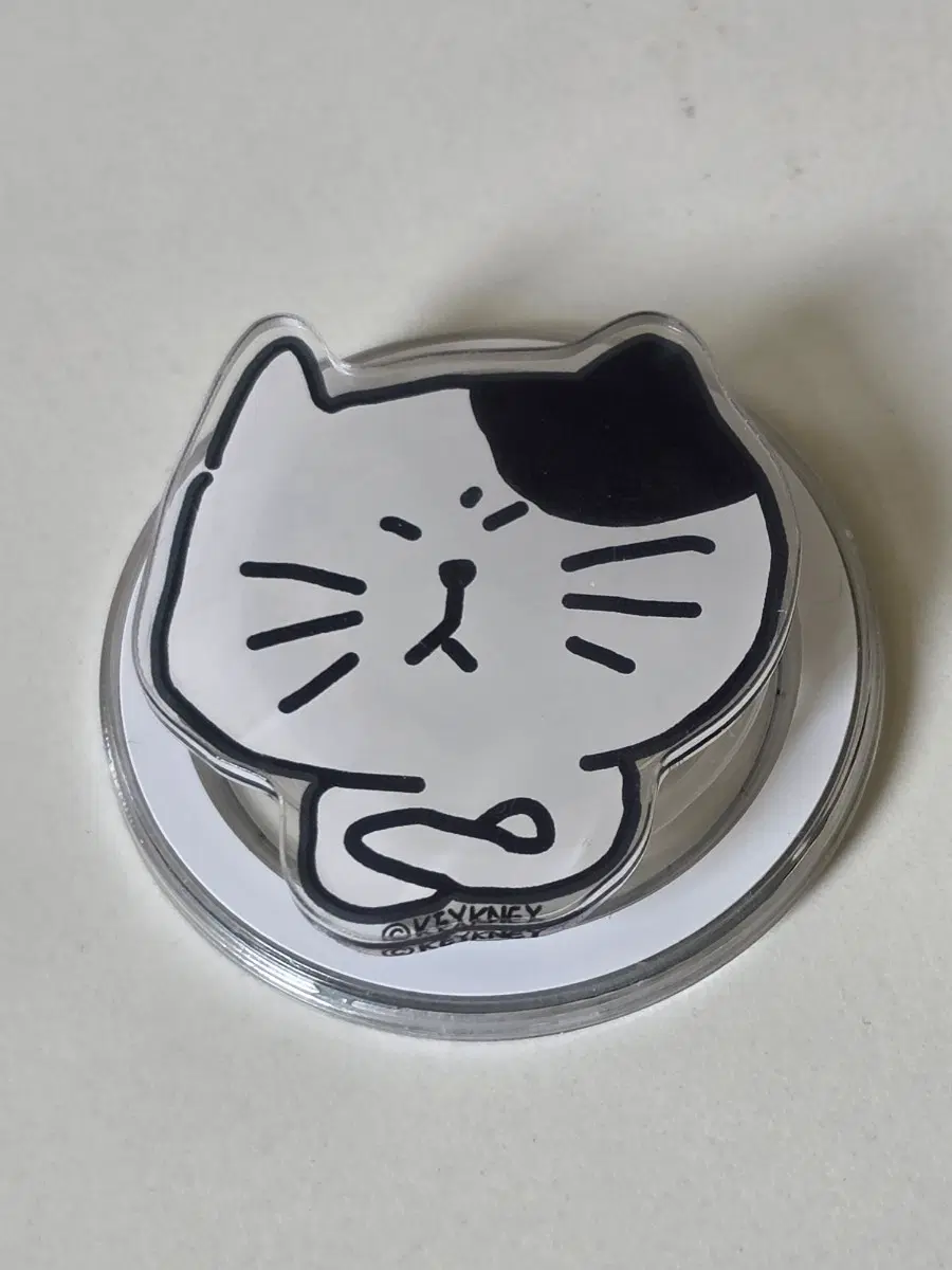 키크니 고양이 스마트톡